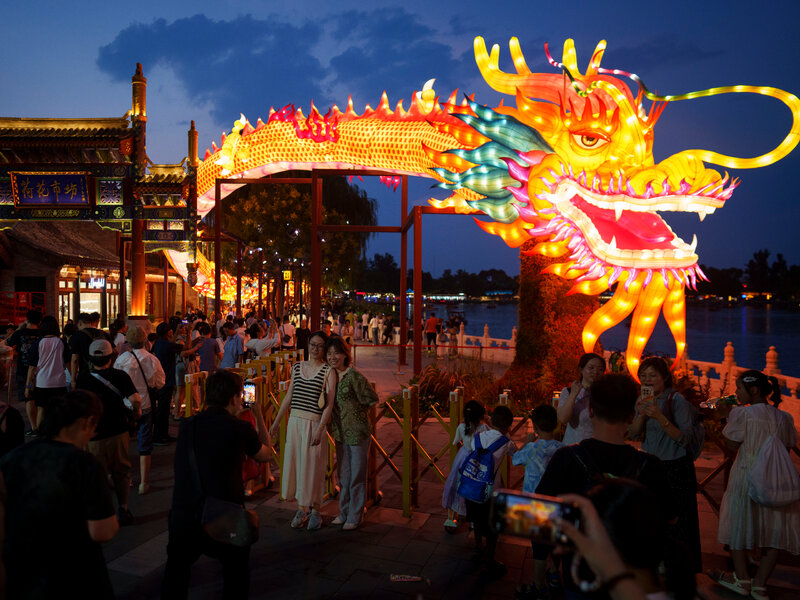 Self-paced online TEFL certification student studying on laptop